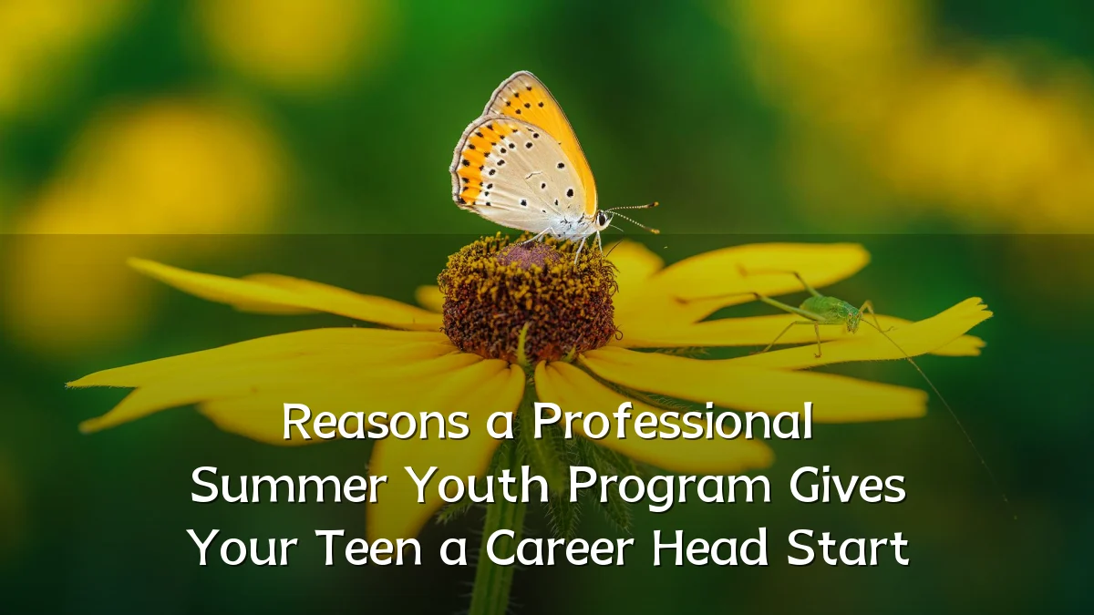 Reasons a Professional Summer Youth Program Gives Your Teen a Career Head Start