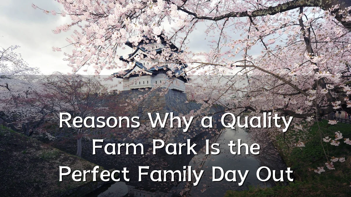 Reasons Why a Quality Farm Park Is the Perfect Family Day Out