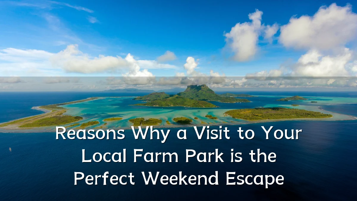 Reasons Why a Visit to Your Local Farm Park is the Perfect Weekend Escape