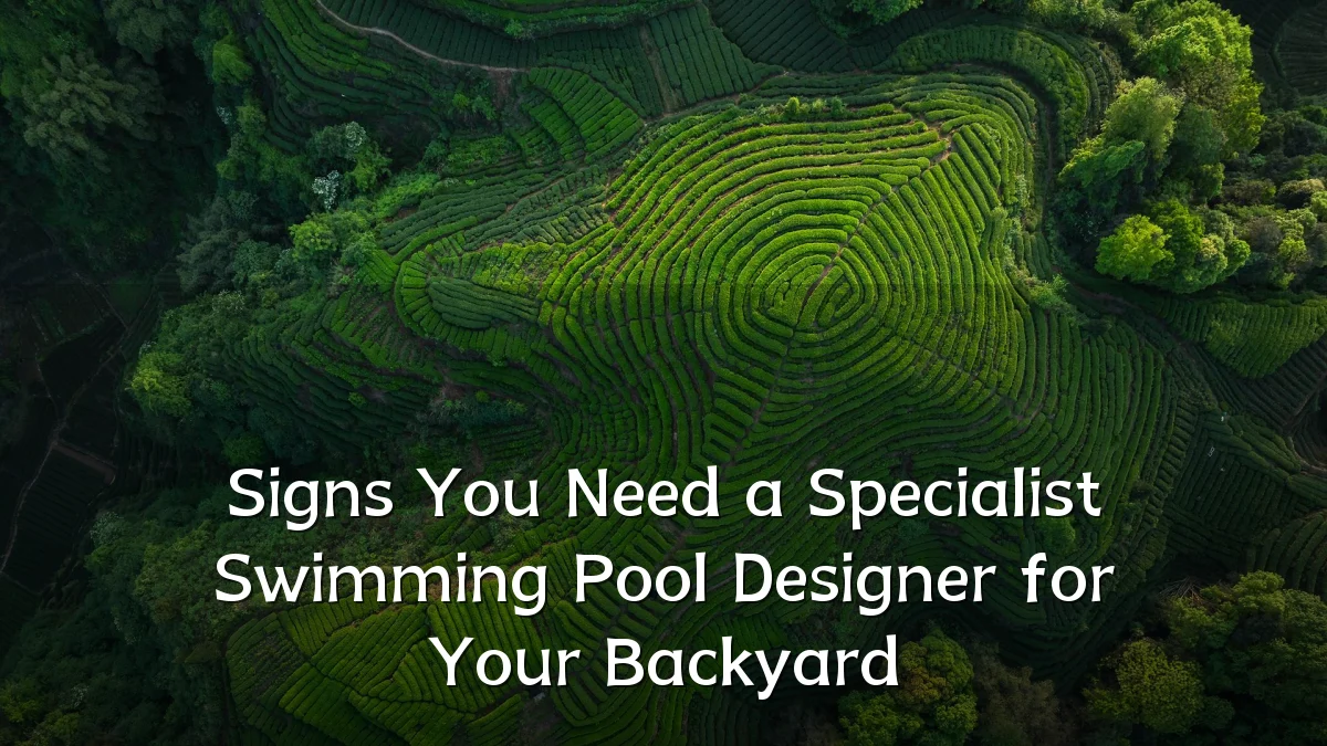 Signs You Need a Specialist Swimming Pool Designer for Your Backyard