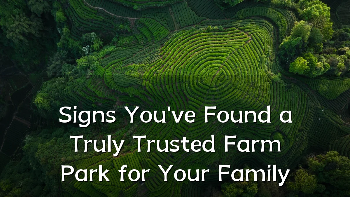 Signs You've Found a Truly Trusted Farm Park for Your Family