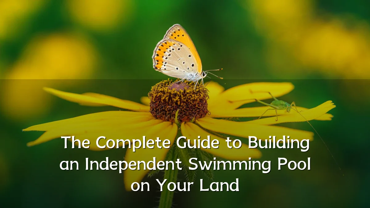 The Complete Guide to Building an Independent Swimming Pool on Your Land