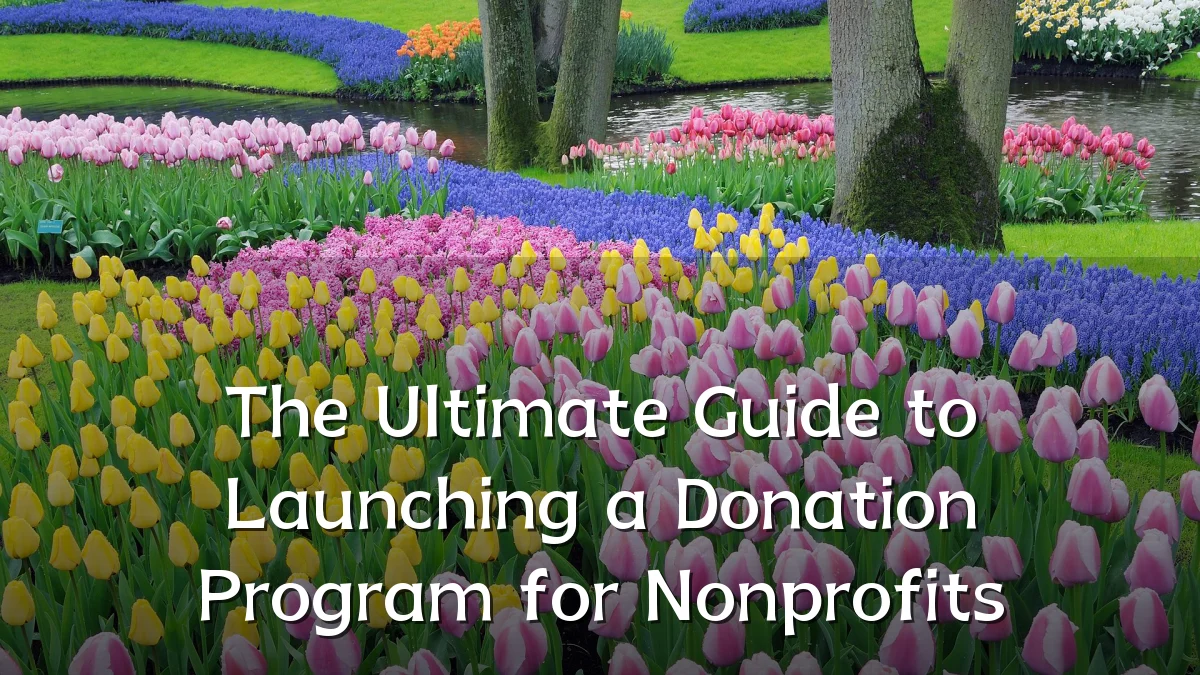 The Ultimate Guide to Launching a Donation Program for Nonprofits