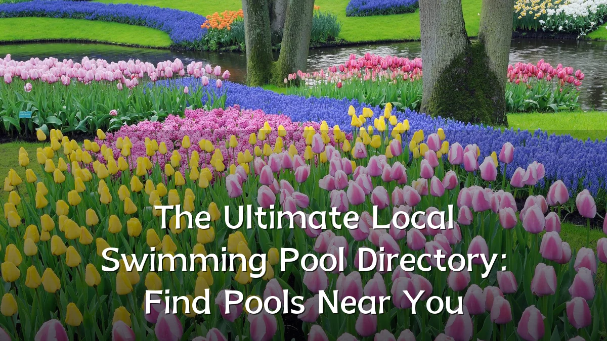 The Ultimate Local Swimming Pool Directory: Find Pools Near You