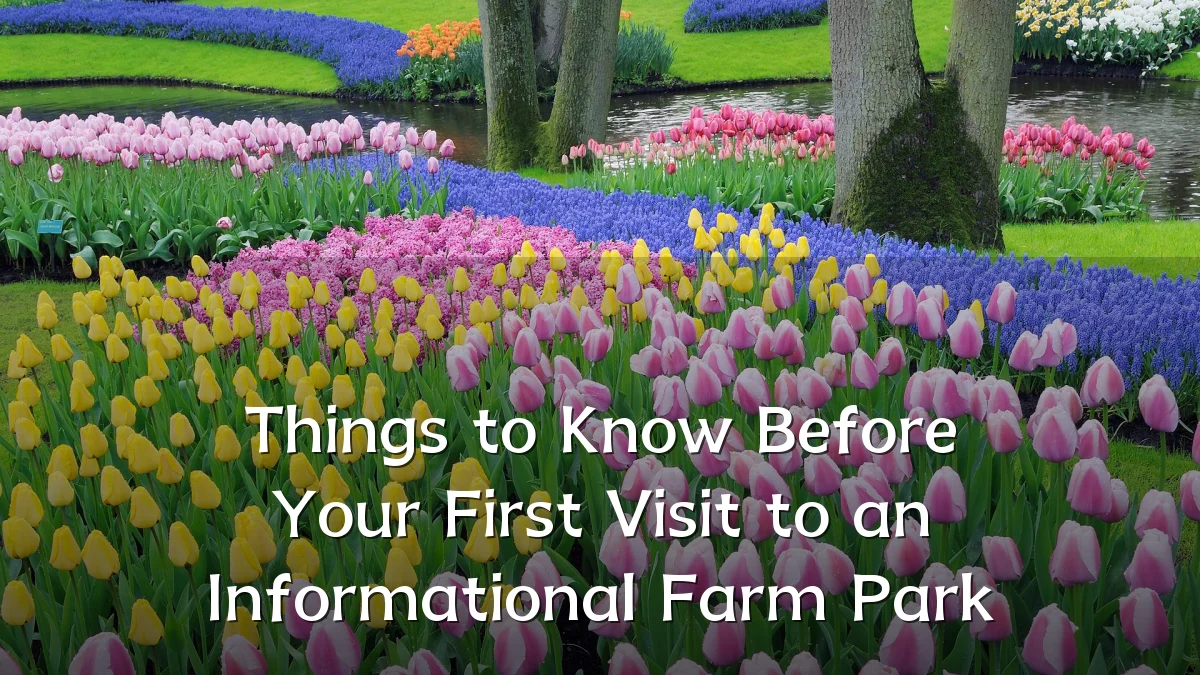 Things to Know Before Your First Visit to an Informational Farm Park
