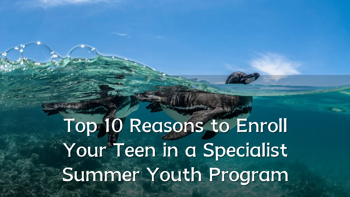Top 10 Reasons to Enroll Your Teen in a Specialist Summer Youth Program