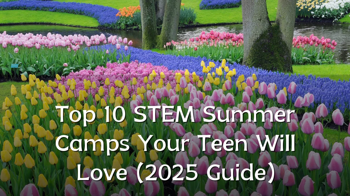 Top 10 STEM Summer Camps Your Teen Will Love (2025 Guide)