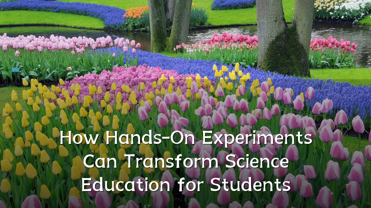 How Hands-On Experiments Can Transform Science Education for Students