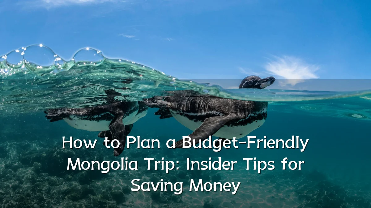 How to Plan a Budget-Friendly Mongolia Trip: Insider Tips for Saving Money