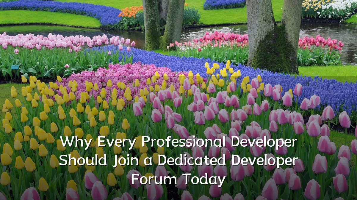 Why Every Professional Developer Should Join a Dedicated Developer Forum Today