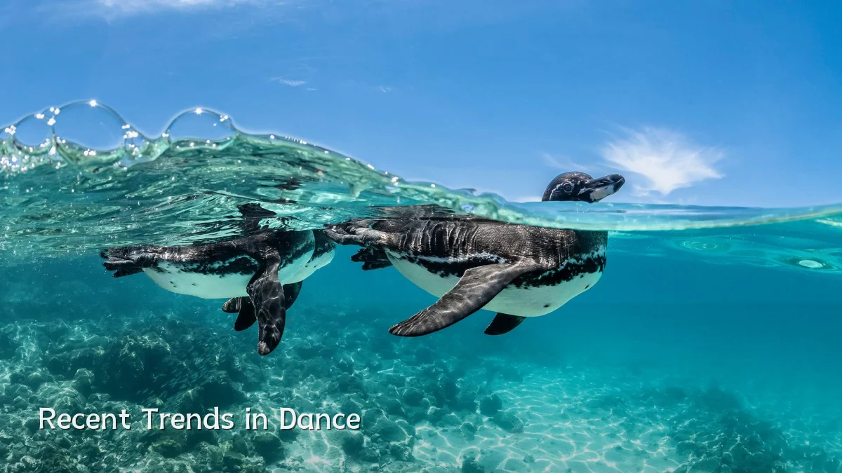 Recent Trends in Dance