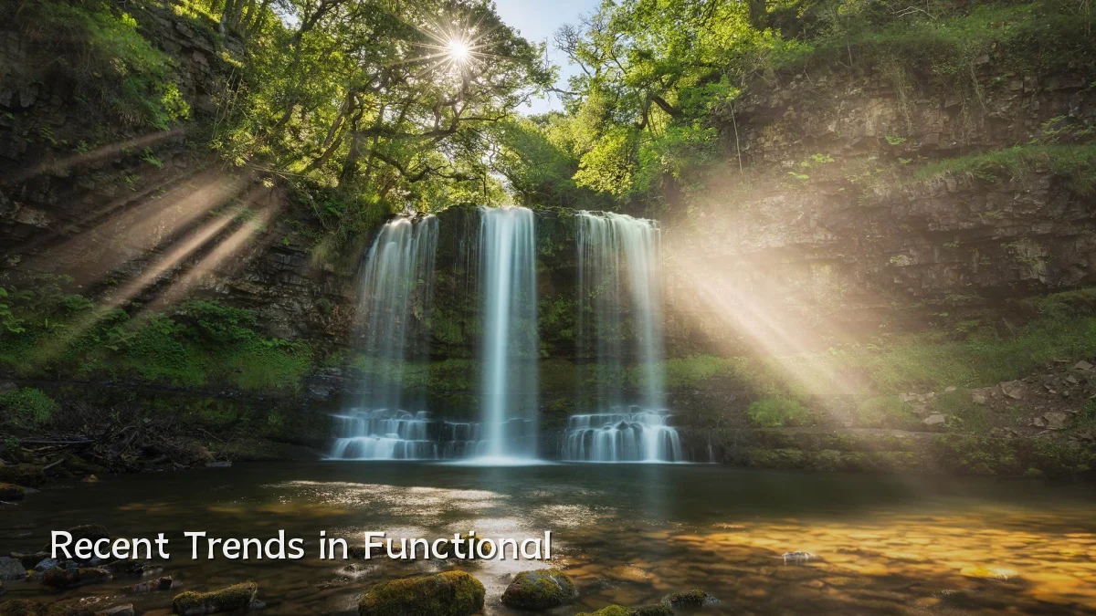 Recent Trends in Functional