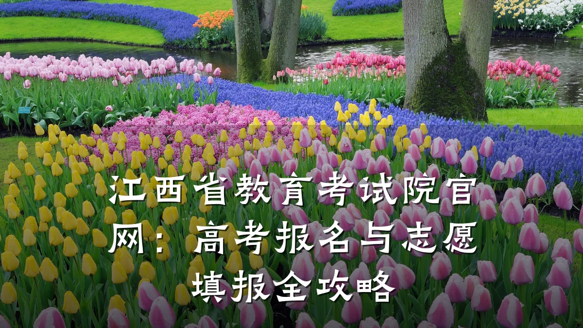 江西省教育考试院官网:高考报名与志愿填报全攻略