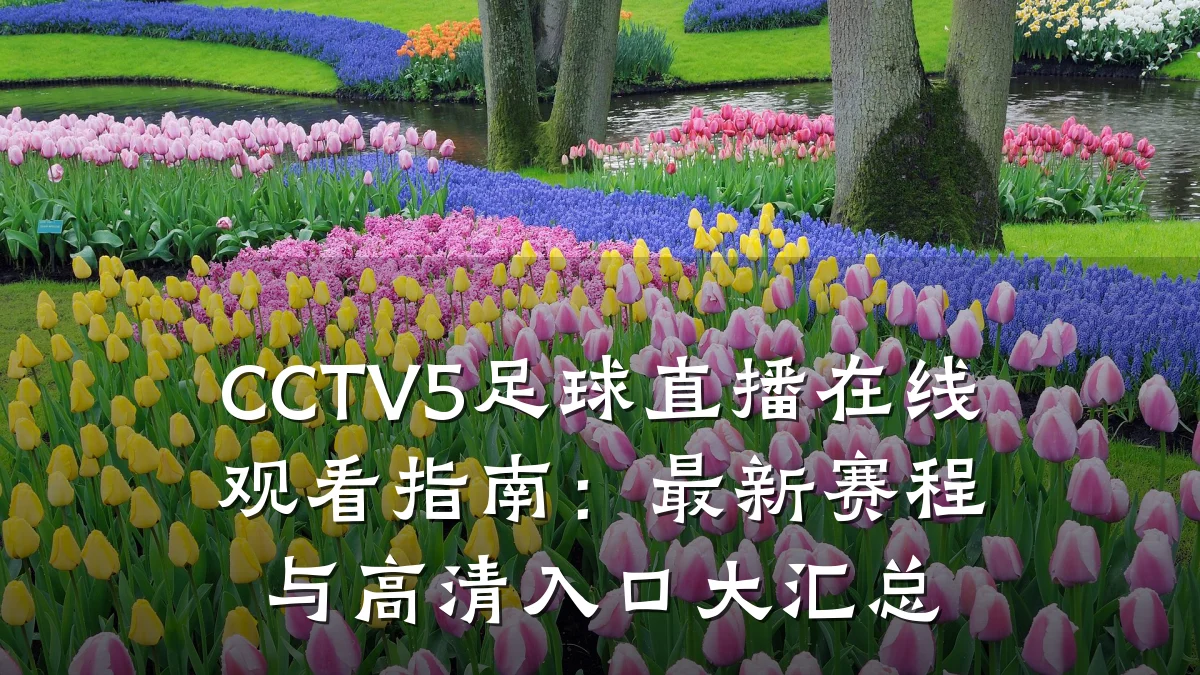 CCTV5足球直播在线观看指南:最新赛程与高清入口大汇总