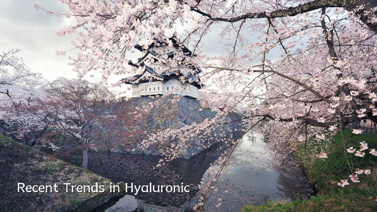 Recent Trends in Hyaluronic