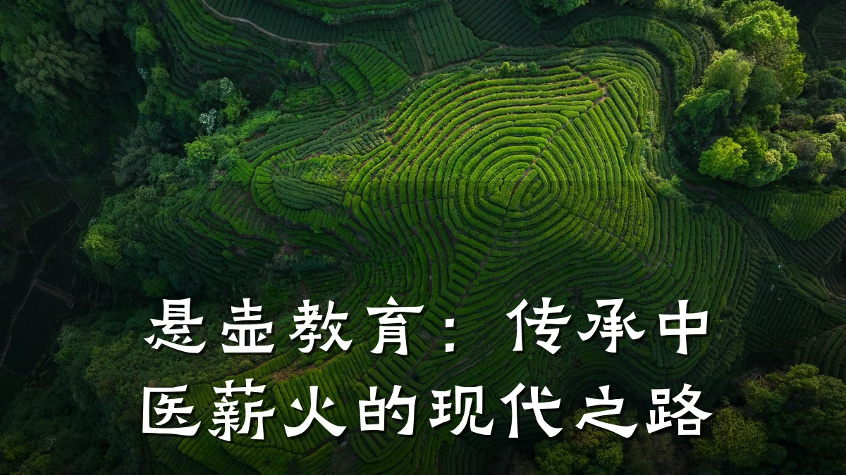 悬壶教育:传承中医薪火的现代之路